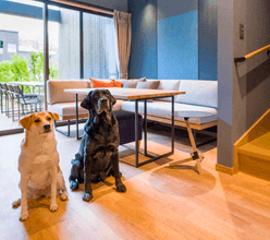 app.lp.rakutenstay.features.feature-2.alt
