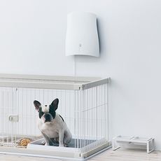 サンスターペット想いの除菌脱臭機 QAIS-air- 04A1J