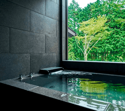 app.lp.rakutenstay.features.feature-0.alt